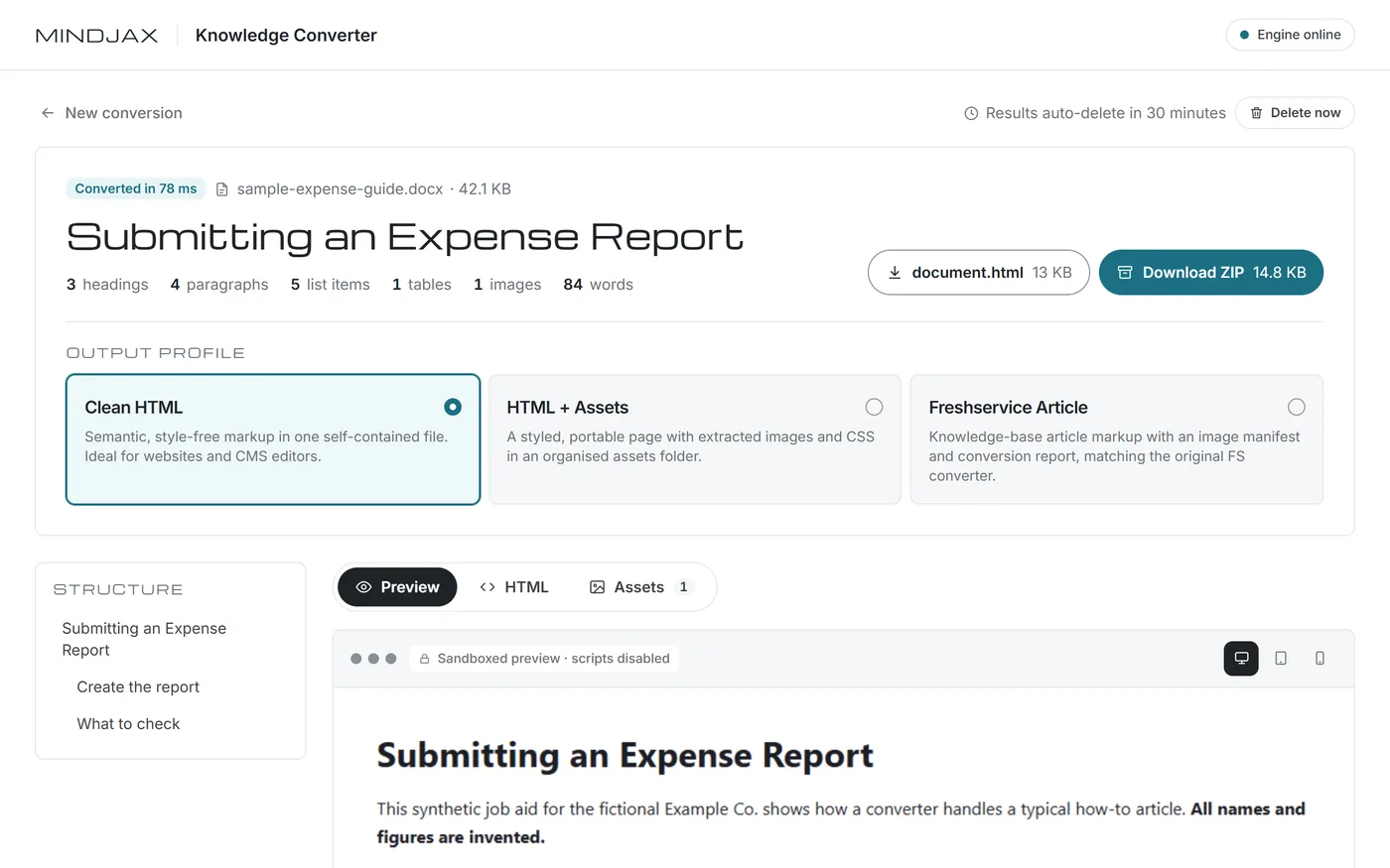 A converted sample document titled “Submitting an Expense Report”, with download buttons, three output profile options and a preview of the HTML